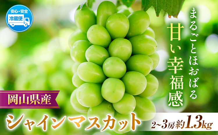 【先行予約】岡山県産 シャインマスカット 約1.3kg ( 2～3房 )  クール便 晴れの国 おかやま館(フルーツランド岡山) 《8月下旬-9月下旬頃出荷》岡山県 浅口市【配送不可地域あり】（離島）---124_c2182_8c9c_25_25000_1300g---