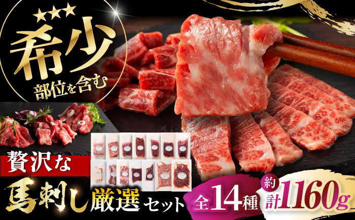 
            フジチクオリジナル 希少部位と贅沢なふじ馬刺し厳選セット 3897 / 肉 馬肉 ネギトロ 希少 馬刺し ユッケ 大トロ 赤身 ヒレ たれ付き おつまみ 晩酌 特産品 熊本県 菊陽町【株式会社フジチク】 [BHAD026]
          