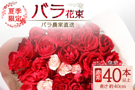 【先行予約・夏季限定 薔薇】ばら農家直送！バラ花束40本以上お届け(赤系) 【ギフト対応可】TB-5│ローズ 新鮮 花 フラワー 花束 ばら 薔薇 バラ 誕生日 記念日 結婚祝い ギフト プレゼント お祝い 贈り物 贈答 鹿児島県 南大隅町 富田バラ園
