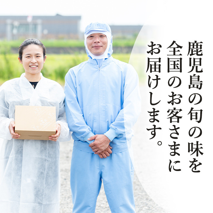 a679 「かごしま黒豚さつま」黒豚ハンバーグおろしソース計1.5kg！(150g×10パック)【AKR Food Company】