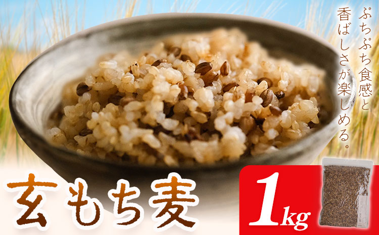 もち麦 玄もち麦 1kg 自然野菜のら《30日以内に出荷予定(土日祝除く)》千葉県 我孫子市 もち麦 玄もち麦 ダイシモチ ぷちぷち もちもち サラダ 煮物 ごはん 送料無料