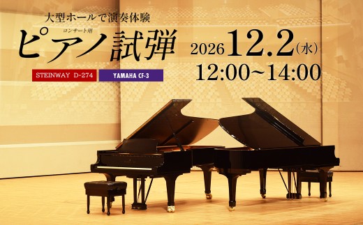 市川市文化会館大ホール　コンサート用ピアノ　スタインウェイD274　ヤマハCF3　2時間ピアノ試弾体験チケット　12月2日（水）12：00～14：00　【12203-0370-2】