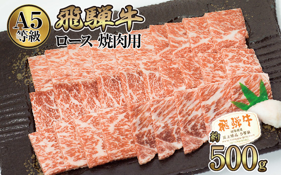 
店主こだわり雌牛 飛騨牛A5等級　ロース　焼肉用　約500g [No.038] ／ 牛肉 ブランド牛 やきにく メス牛 冷凍 岐阜県 特産
