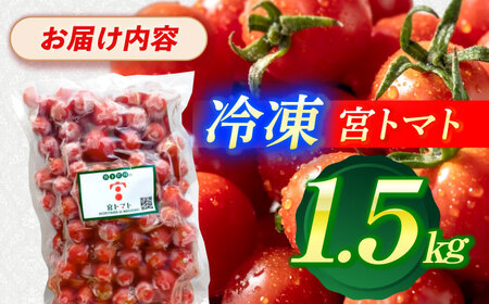 冷凍宮トマト　1.5kg / 冷凍 トマト とまと 野菜 冷凍野菜 ミニトマト / 諫早市 / 宮下農園[AHCG033]