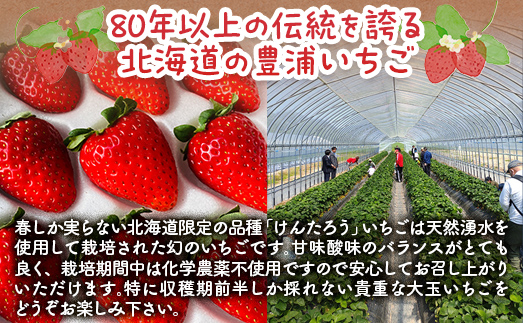 【2026年4月下旬以降出荷】豊浦いちご 大玉12粒×2トレー