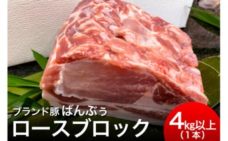 ブランド豚「ばんぶぅ」ロースブロック1本 ばんぶぅ 豚肉 ロース ブロック肉 しゃぶしゃぶ 焼き肉 真空パック しゃぶしゃぶ肉 焼肉用 ブタ肉 国産 茨城県産 ギフト プレゼント 冷蔵 高級部位 ブラ