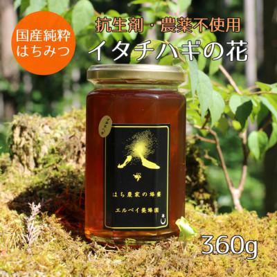 ふるさと納税 大仙市 【秋田県大仙市産】国産純粋はちみつ　『イタチハギの花』　360g×1