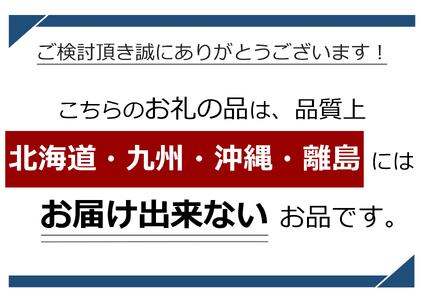 先行予約 訳あり 令和8年産 こしひかり 白米 10kg 令和8年10月下旬より順次発送予定 天龍村 農家さん応援米！