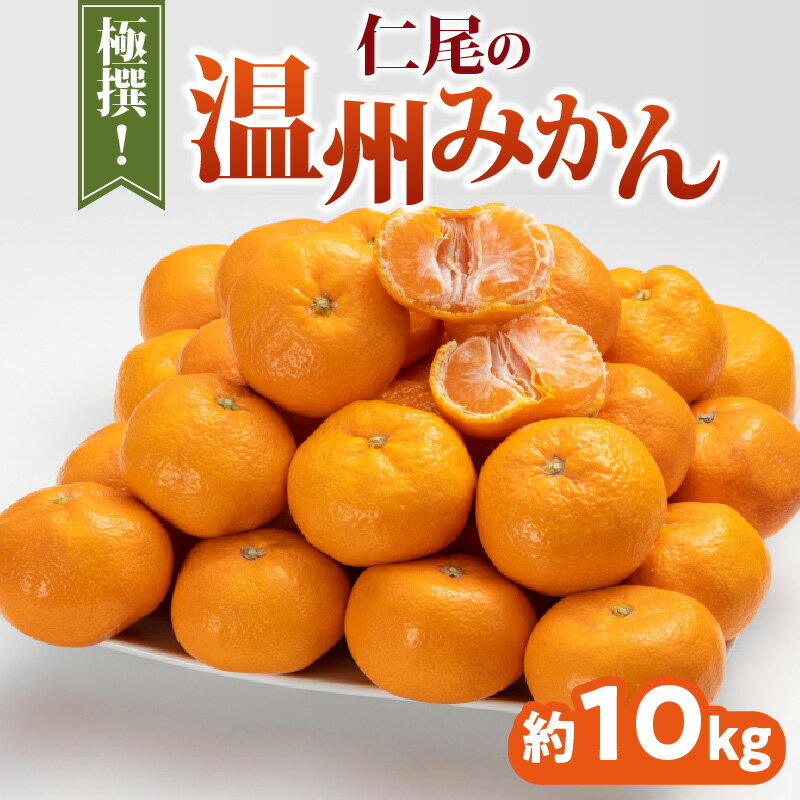 【ふるさと納税】 みかん 温州みかん 極撰 約 10kg [ フルーツ 果物 果実 柑橘 デザート スイーツ 甘い 果汁 常温 食品 国産 香川県 三豊市 瀬戸内 瀬戸内海 温州 お取り寄せ お取り寄せグルメ ギフト プレゼント 人気 ランキング 20,000円 台 返礼品 送料無料 旬 北浜商店 ]