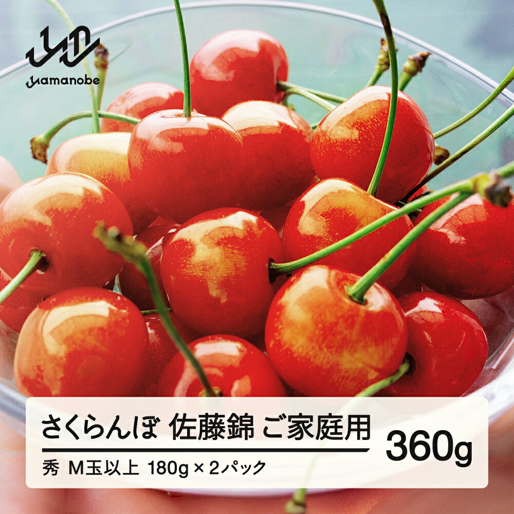 【ふるさと納税】【先行予約】 さくらんぼ 佐藤錦 ご家庭用 秀品 M玉以上 約360g 令和8年産 2026年産 山形県産 フルーツ 果物 送料無料 tf-snpsm360