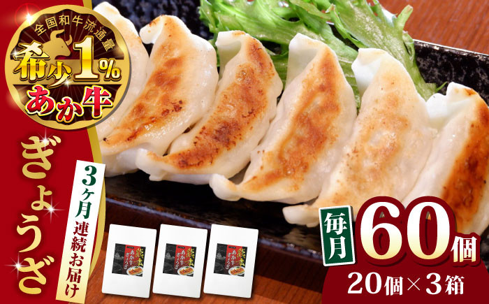 
            【全3回定期便】熊本県産 あか牛 ぎょうざ 計60個 ( 20個 × 3箱 ) 熊本和牛【有限会社 三協畜産】[YCG060] 
          