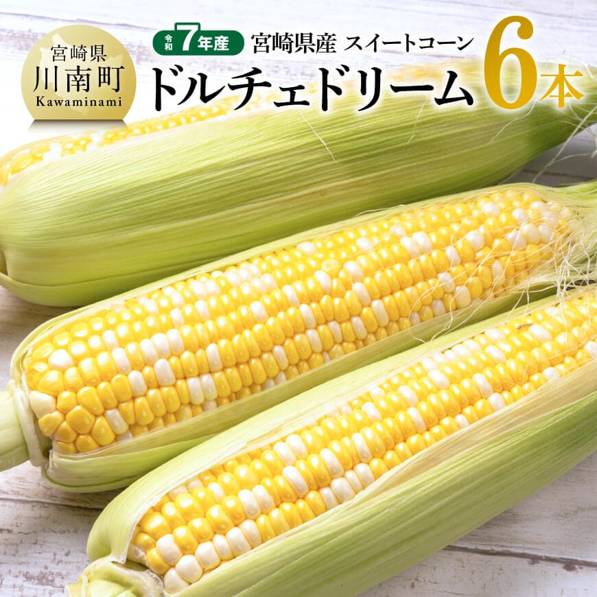 【ふるさと納税】※レビューキャンペーン※【令和7年産】宮崎県産とうもろこし　スィートコーン「ドルチェドリーム」6本 - トウモロコシ コーン ドルチェドリーム とうきび 新鮮 野菜 農家直送 期間限定 先行予約 先行受付 九州産 宮崎県産 川南町 送料無料 C10804
