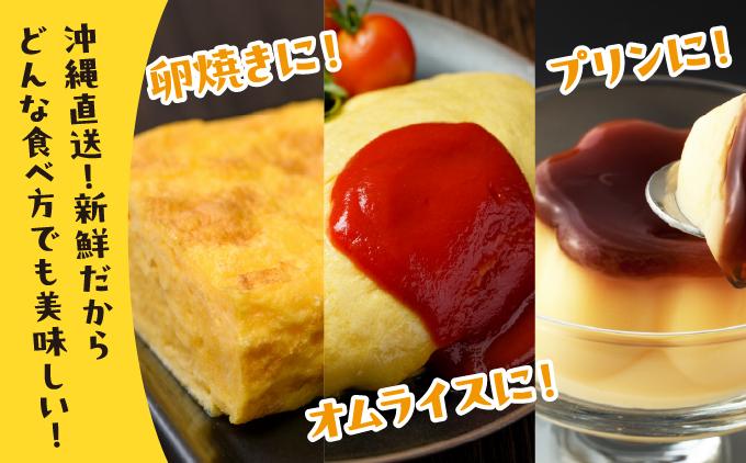 卵の黄身が掴めるほどの新鮮さ 美ら卵養鶏場の卵 20個【6ヶ月定期便】 20個【6ヶ月定期便】