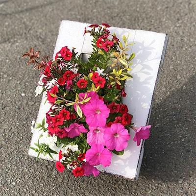 ふるさと納税 朝倉市 季節のお花寄せ植え(額縁プランター) |  | 01