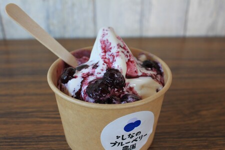 信濃町産「ブルーベリージャム」 150g×3個セット　粒が大きく味の濃いハイブッシュ系にこだわったブルーベリーのジャム【長野県信濃町／しなのブルーベリー農園】