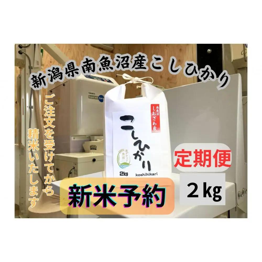 【令和8年・新米予約・定期便】新潟県南魚沼市の豊かな自然が育んだ、極上のコシヒカリ　2kg×12か月【2026年9月下旬より1ヶ月以内に順次発送予定】｜コシヒカリ