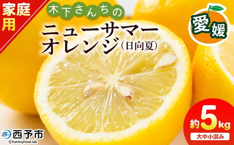 ＜木下さんちのニューサマーオレンジ 家庭用 約5kg（大中小サイズ混み）＞ 柑橘類 日向夏 ミカン 蜜柑 果物 くだもの フルーツ 国産 特産品 木下農園 愛媛県 西予市【常温】『2027年4月上旬～5月中旬に順次出荷』MKS0009