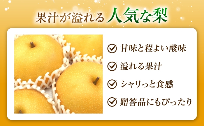 梨 なし フルーツ 果物 くだもの 食品 人気 おすすめ 季節のフルーツ 豊水梨 ナシ シャリッと みずみずしい 濃厚 コク