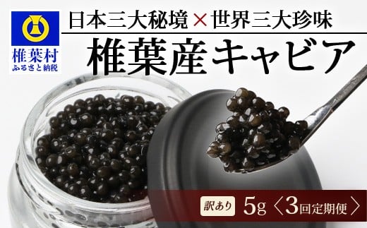 
            【3回定期便】【訳あり】 国産 キャビア HEIKE CAVIAR  5g × 3回 計15g 【世界三大珍味×日本三大秘境】［ 訳あり 宮崎 椎葉 国産 チョウザメ キャビア 定期便 定期 5g 15g 3回定期 魚卵 卵 お酒 魚介 珍味 加工品 冷凍 高級 高級食材 贅沢 世界三大珍味 おつまみ グルメ ギフト プレゼント 贈答 希少 人気 おすすめ 送料無料 ］SZ-115_3teiki
          