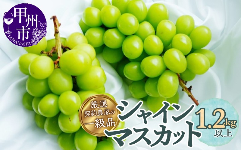 厳選契約農家の一級品シャインマスカット1.2㎏以上