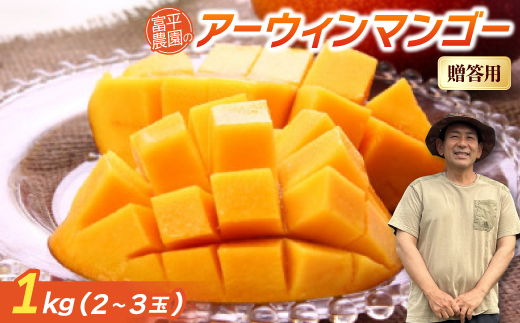 【2026年7月から順次発送・贈答用】富平農園のアーウィンマンゴー1kg(2～3玉)【配送不可地域：離島】
