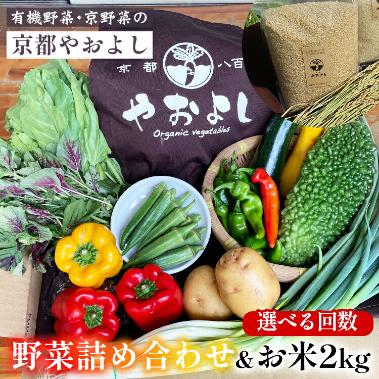 【ふるさと納税】野菜詰め合わせ ＆ お米 2kg 有機野菜・京野菜の『京都やおよし』｜野菜 米 京都産 オーガニック 有機JAS 農薬不使用 減農薬 野菜セット 野菜生活 ※北海道・沖縄・離島への配送不可 【1回 4回 6回 12回 選べる回数】亀岡市 京丹後市