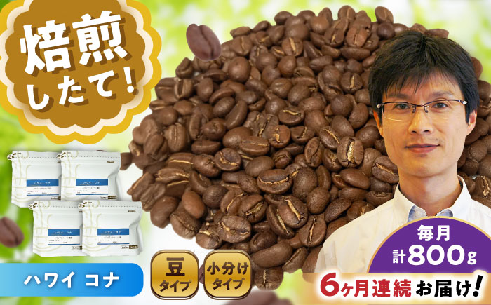 【全6回定期便】ハワイ・コナ コーヒー豆 200g×4個 (豆) / 珈琲 コーヒー 豆 / 瀬戸市 / Ｃｏｆｆｅｅ　ＳＡＫＵＲＡ [BBAB064]