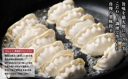 黒豚　冷凍餃子　48個