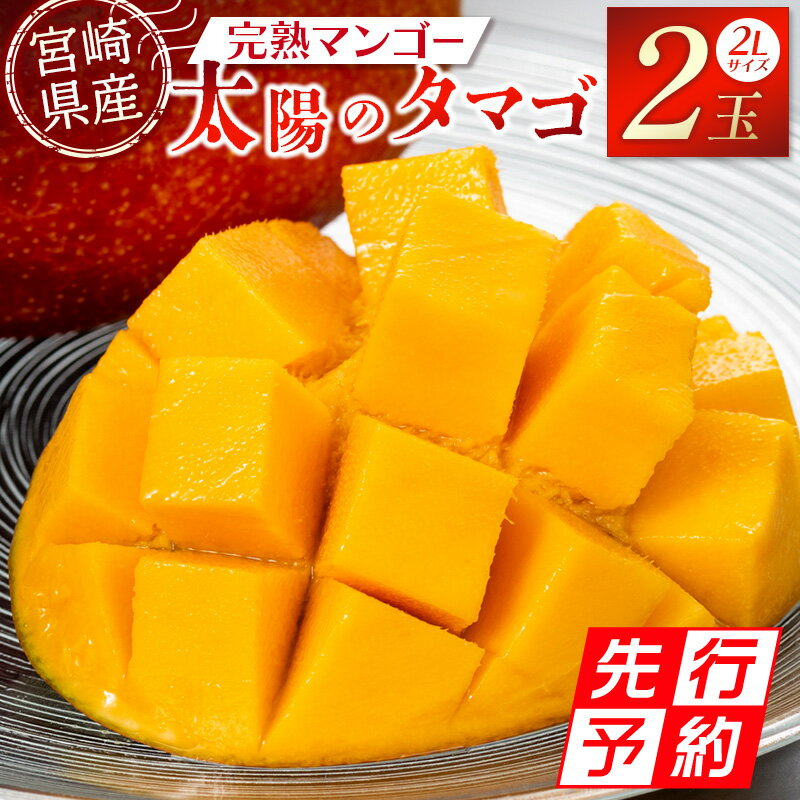 【ふるさと納税】《2025年発送先行予約》【期間・数量限定】宮崎特産品 宮崎県産完熟マンゴー 太陽のタマゴ 2L×2個 完熟マンゴー 完熟 果物 フルーツ デザート スイーツ 果肉 濃厚な甘み 南国フルーツ 特産品 名物 ご当地グルメ グルメ お取り寄せ 宮崎県 宮崎市 送料無料