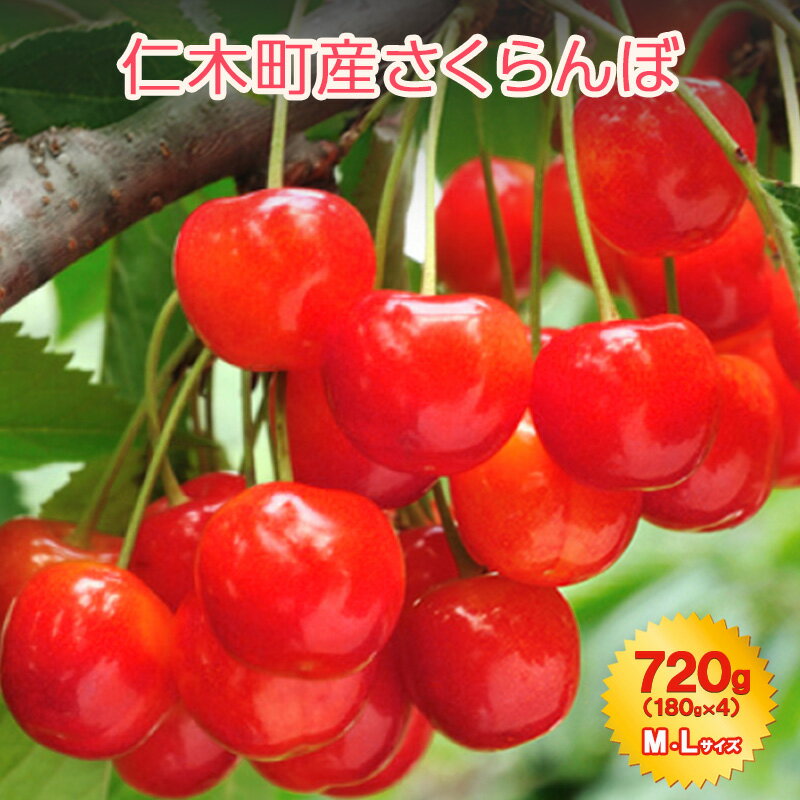 【ふるさと納税】北海道 仁木町産 7月旬 さくらんぼ 720g （180g×4） M・Lサイズ サクランボ チェリー フルーツ 果物 果物類 仁木町 仁木 [JA新おたる]　お届け：2026年7月1日～26日まで