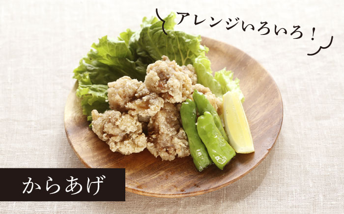 【全12回定期便】すっぽん鍋セット 3人前【丸隆すっぽん養殖場】 [PBL011]