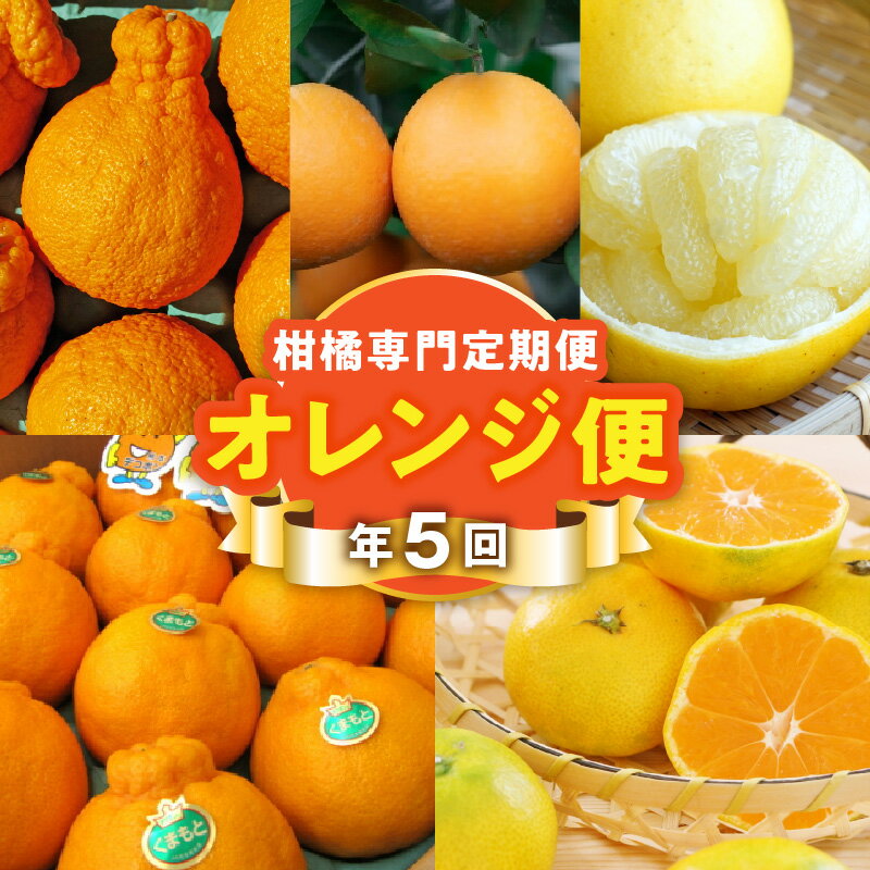 【ふるさと納税】【オレンジ便】 年に5回お届け 柑橘 定期便 網田ネーブル パール柑 極早生みかん 約5kg 不知火 約3kg デコポン 約2kg 完熟 みかん フルーツ ジューシー 果物 デザート 旬 お取り寄せ お取り寄せフルーツ 送料無料 【熊本県宇土市】