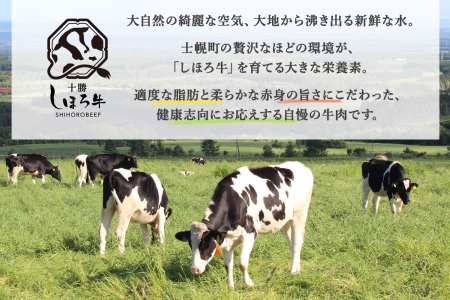 ■定期便■ 北海道 しほろ牛 冬の定期便 全5回 牛肉 サーロイン ステーキ リブロース 切り落とし ローストビーフ カルビ味付き 肉 牛 赤身肉 国産牛 肉 ビーフ 牛肉 冷凍 お惣菜 焼肉 頒布会