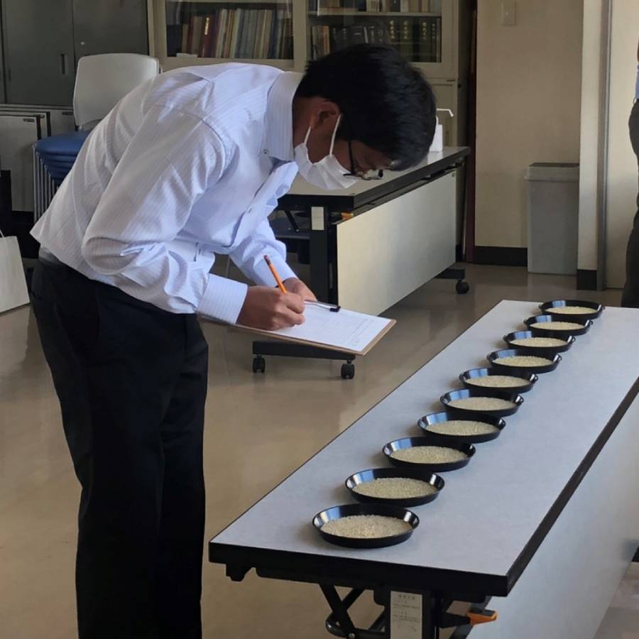 芦別市産　ななつぼし5kg　12回定期便