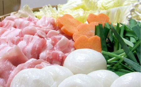 餅 杵つきまるこもち 300g 2袋セット（20個）[AIBB014]