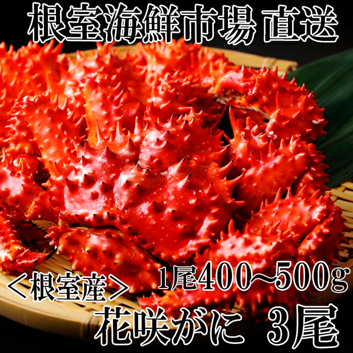 【ふるさと納税】[北海道根室産]花咲ガニ400～500g×3尾 B-28121