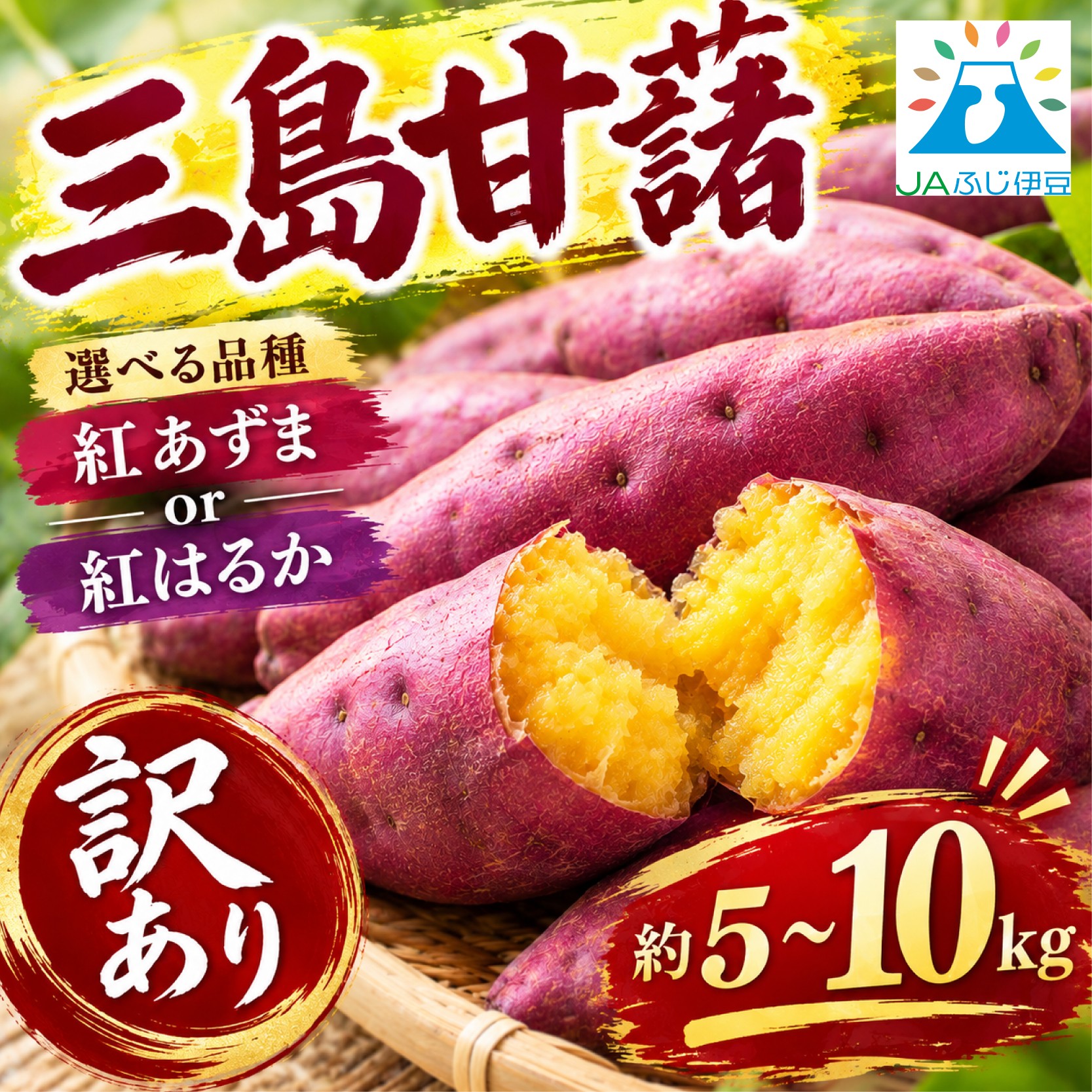 
                  【予約受付中】 訳あり 三島甘藷 約5～10kg 紅はるか 紅あずま さつまいも 甘藷 ▼ さつまいも 芋 サツマイモ 野菜 さつまいも 農産物 さつまいも 新鮮 いも 産地直送 美味しい さつまいも おいしい さつまいも みしまるかん JA  国産 さつまいも 箱根西麓三島野菜 さつまいも おいも さつまいも 静岡県 三島市 さつまいも 三島産 さつまいも 直送 さつまいも 訳あり さつまいも
                