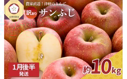 【2026年1月後半】 訳あり りんご サンふじ 約 10kg 青森 果物 【 訳アリ リンゴ 林檎 ふじ さんふじ 】