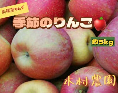【ふるさと納税】りんご 5kg ｜ さんさ あかぎ 陽光 ぐんま名月 ふじ リンゴ 旬 甘い ジューシー お取り寄せ ご当地 特産 産地直送 果物 フルーツ 季節 秋 冬 デザート おやつ 林檎 アップル 5キロ 2025年産 令和7年産 群馬県 前橋市