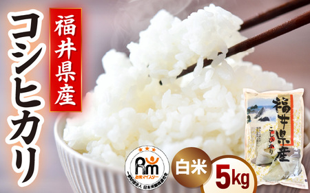 令和7年産 新米 米 5kg 精米 コシヒカリ 福井県産《14日以内に出荷予定》【白米 5キロ こしひかり お米 ごはん 人気品種 産地直送 新生活 kome】 [e66-a010]