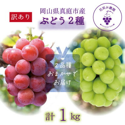 【ふるさと納税】岡山　花笑み農園の『訳あり2種MIX』ブドウ1kg　W2M-1【9月中旬～順次発送】【配送不可地域：離島】【1492078】