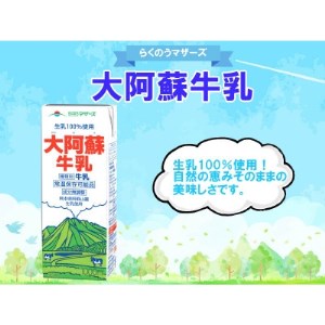 大阿蘇牛乳　1000ml×6本【1148367】