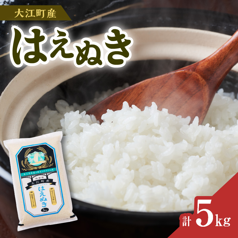 【新米】大江町産 はえぬき 5kg【山形県産】【2025年度産米】