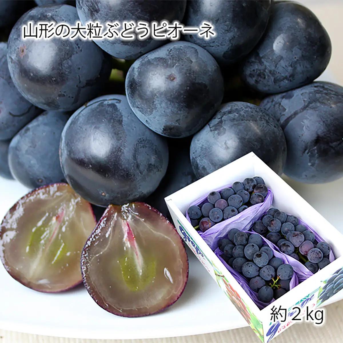 山形のぶどう ピオーネ 秀品 約2kg(2～5房)[10月発送]【令和8年産先行予約】FS24-648 くだもの 果物 フルーツ 山形 山形県 山形市 2026年産