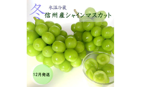 【2025年12月中旬より順次発送】信州産冷蔵シャインマスカット 2房（合計1,1kg以上）大粒＆大房 果物 ぶどう フルーツ みずみずしい 長野県産 食後 デザート 