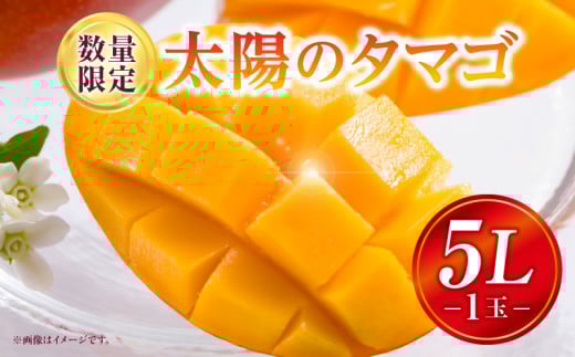 《2025年発送》【期間・数量限定】太陽のタマゴ 5Lサイズ 1玉_M354-001-04