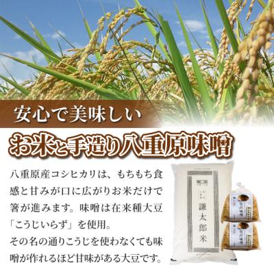 ふるさと納税 東御市 【令和8年産 新米】八重原産コシヒカリ白米「謙太郎米」10kgと 信州味噌「八重原味噌」1kg |  | 01