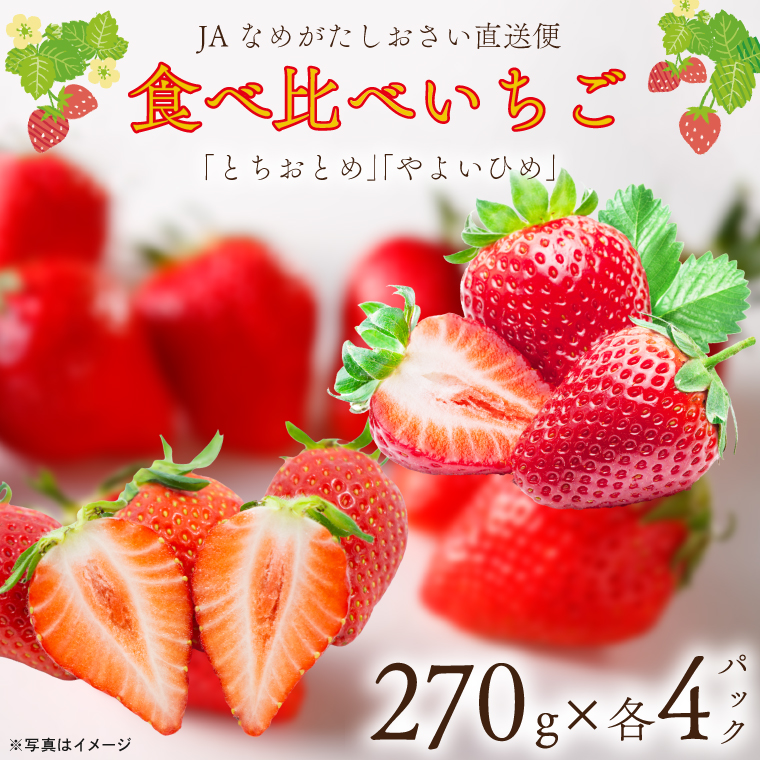 【2027年1月中旬以降順次発送開始】JAなめがたしおさい直送「やよいひめ」2箱（8パック入）|茨城県 行方市 ふるさと納税 果物 フルーツ 苺 いちご イチゴ（AE-163）