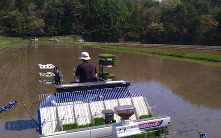 玄米 10kg 【 令和8年産 新米 先行予約 】 米 お米 ひとめぼれ / 新米 岩手県 遠野市 宮守町 達曽部 金取 地区 産 金取ノ米 多田農産 農家直送