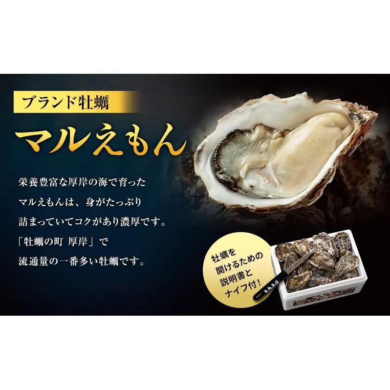 3月配送 訳あり 牡蠣 北海道厚岸産 殻付カキ 約4kg (25から50個) カキナイフ付 生食 生牡蠣 貝付き牡蠣 貝 海鮮 魚介類 殻付き牡蠣 マルえもん